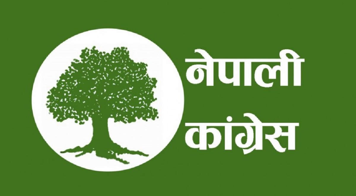कांग्रेसद्वारा निर्देशक समिति गठन